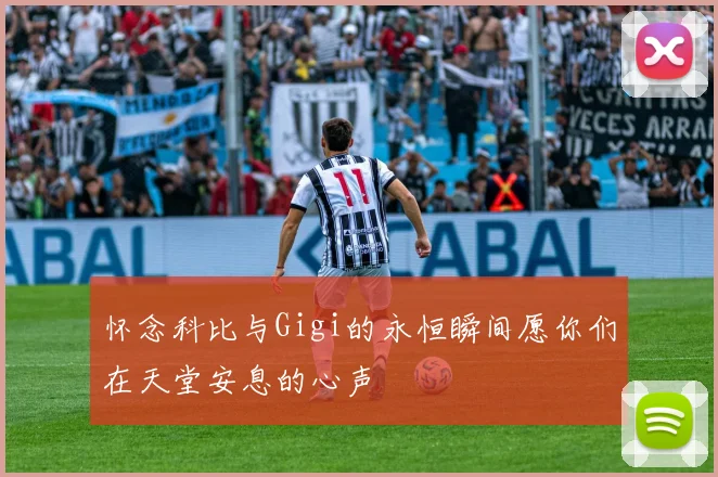 怀念科比与Gigi的永恒瞬间愿你们在天堂安息的心声